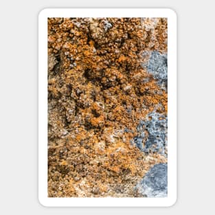 Rustic Seaside Erosion Texture Sticker